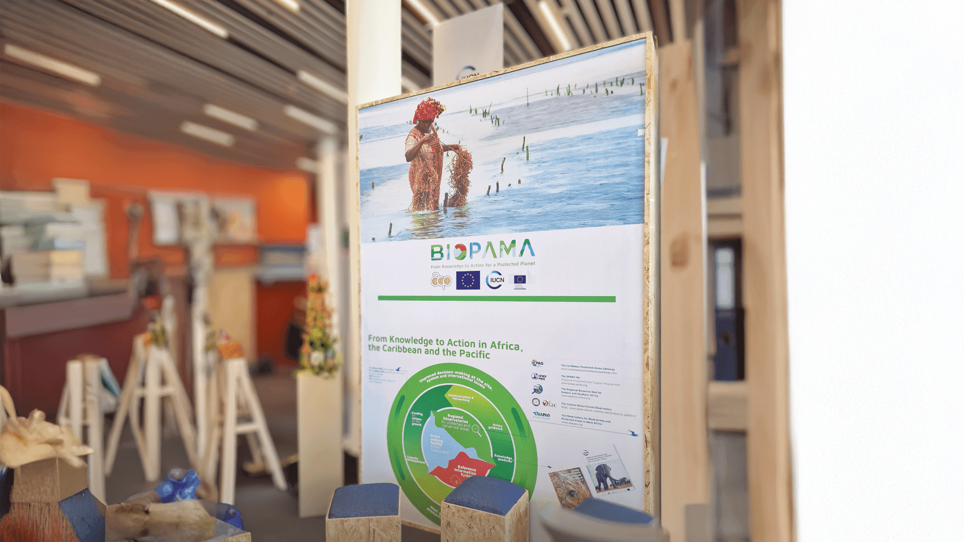 BIOPAMA - Branding and Development for Knowledge and Action — design work