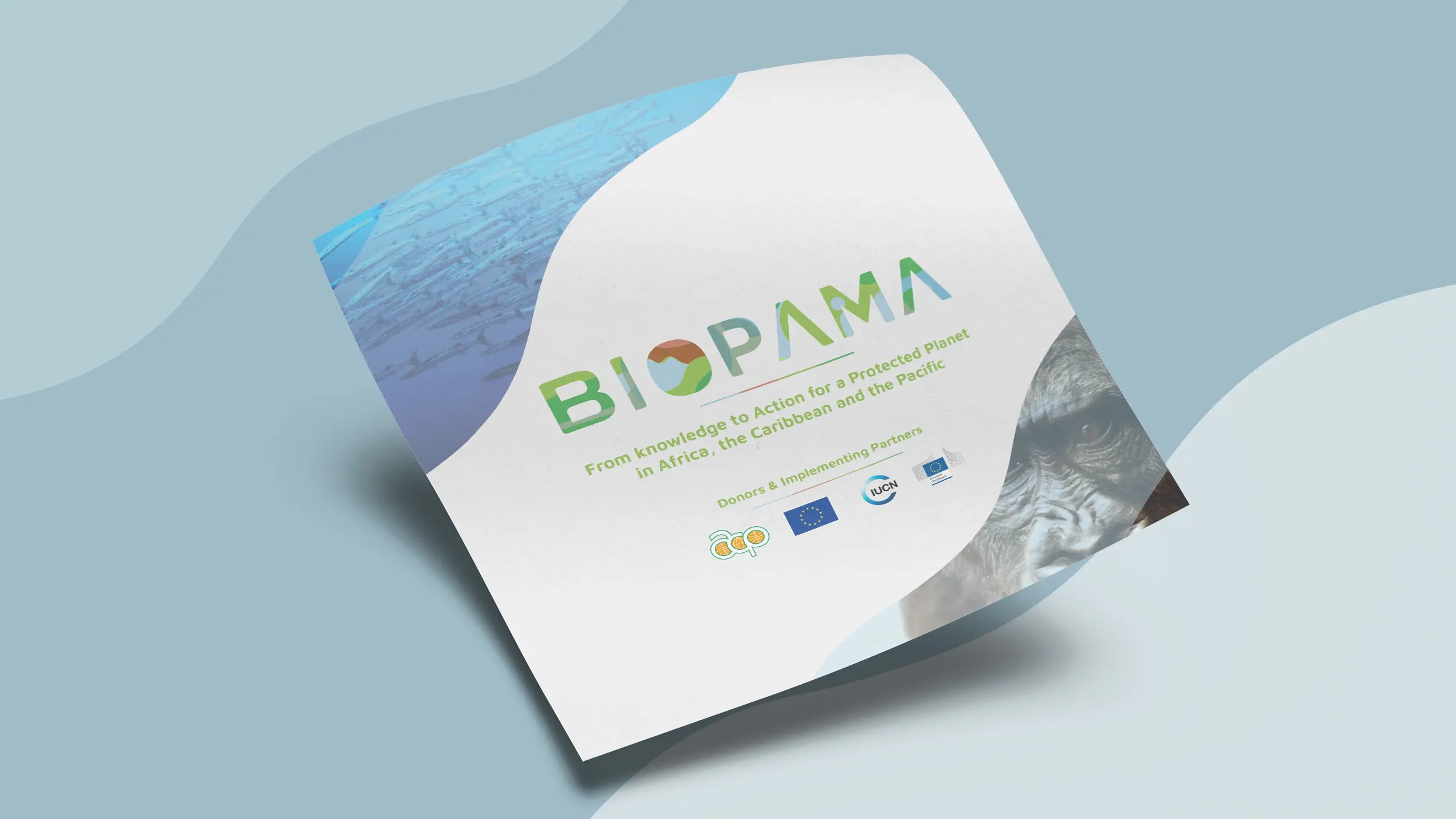 The BIOPAMA brochure cover, reading “From knowledge to action for a protected planet in Africa, the Caribbean and the Pacific”
